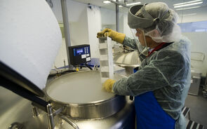 bebévida, laboratório, saúde