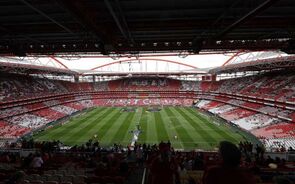 Luz, Estádio da Luz, Benfica