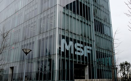 Grupo MSF colapsa por inteiro em 2018