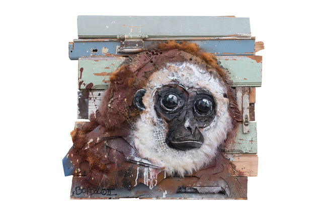 Bordalo II: Manifesto em Paris