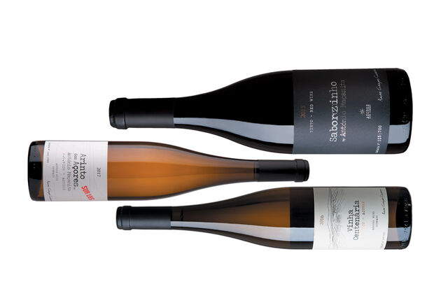 É preciso dar tempo de garrafa aos vinhos açorianos   