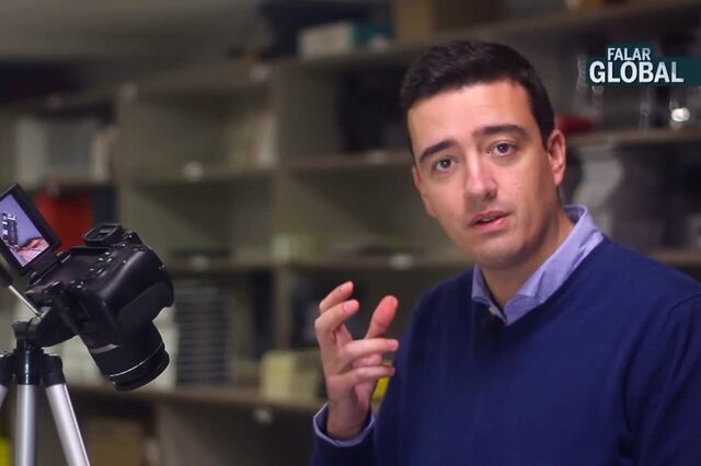 Substituir o ecrã partido do seu smartphone