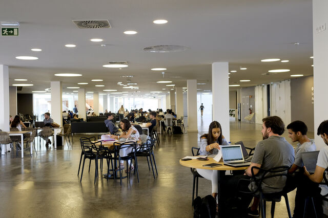 Saúde, Educação e Estado decisivos no novo emprego de 2018 