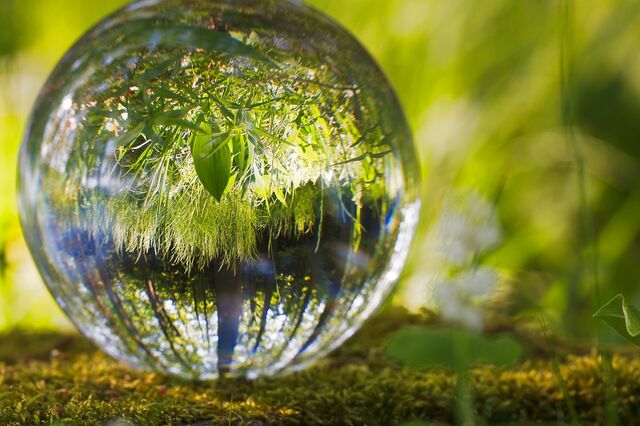 BCE tem plano de ação para o clima