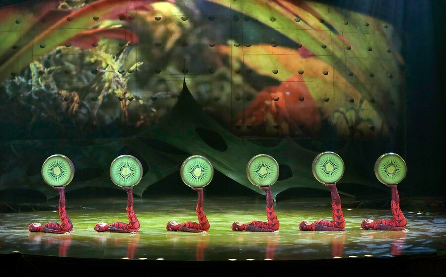 Cirque du Soleil