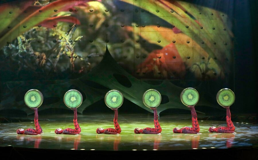Cirque du Soleil