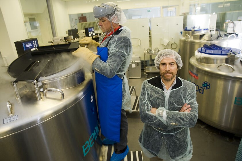 bebévida, laboratório, saúde