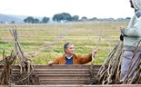 Agricultores da Europa alertam para falta de frutas e vegetais