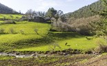 Aldeia fantasma em Espanha está à venda por 85 mil euros