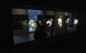 Exposição na Gulbenkian cria roteiro para viajar até dentro do cérebro