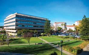 Universidade Católica empenhada em ajudar o ambiente