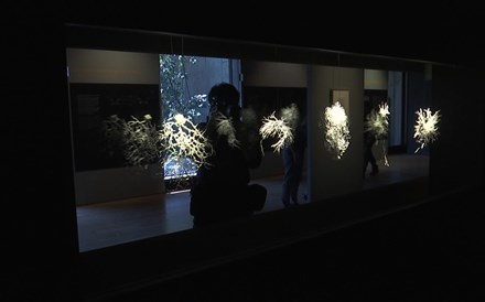 Exposição na Gulbenkian cria roteiro para viajar até dentro do cérebro