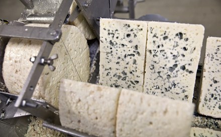 Reis do queijo acumulam fortuna de 19 mil milhões com laticínios