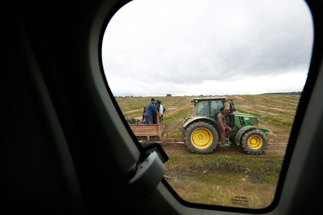 TCE alerta que reforma da PAC pode gerar 'incerteza' e atrasar apoios aos agricultores