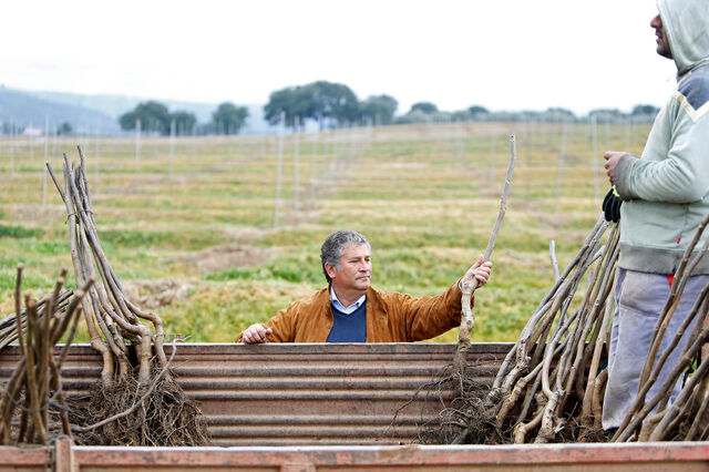 Agricultores da Europa alertam para falta de frutas e vegetais