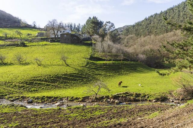 Aldeia fantasma em Espanha está à venda por 85 mil euros