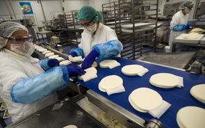 bel, queijo, terra nostra, limiano, fábrica, indústria