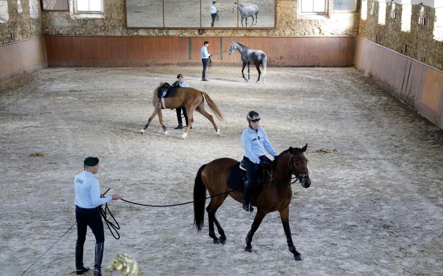GNR, cavalo, cavalariça