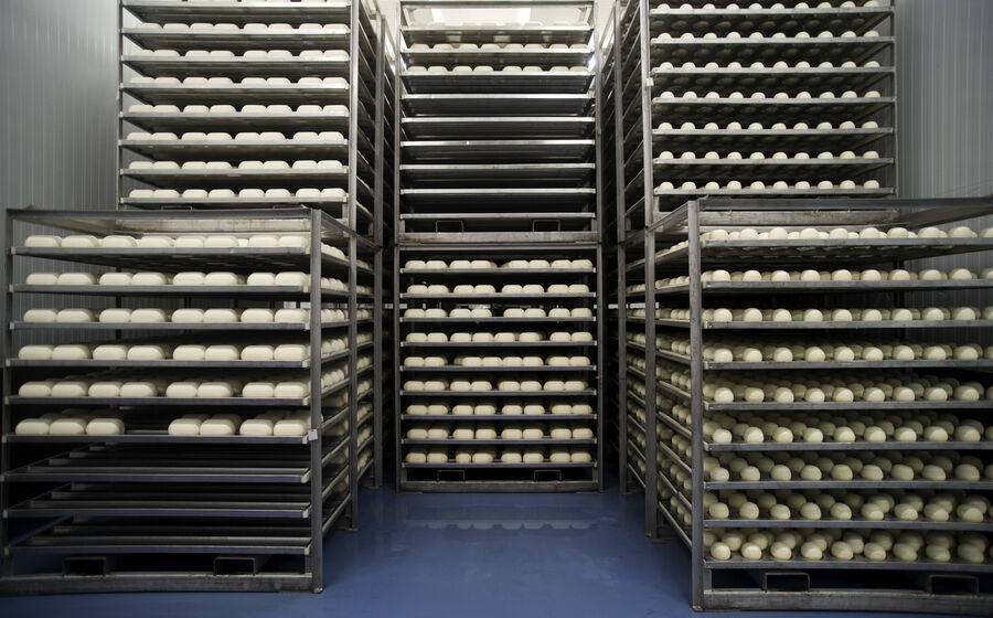 bel, queijo, terra nostra, limiano, fábrica, indústria