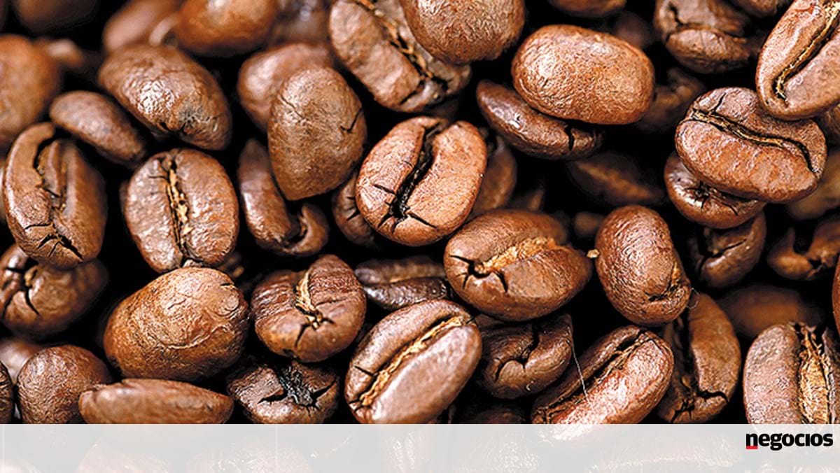 L’Italie et l’Allemagne dominent la production de café en Europe.  Le Portugal à la septième place – Économie