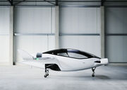Lilium taxi