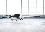 Lilium taxi