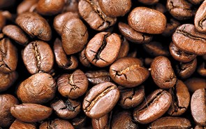 Itália e Alemanha lideram produção de café na Europa. Portugal está no sétimo lugar