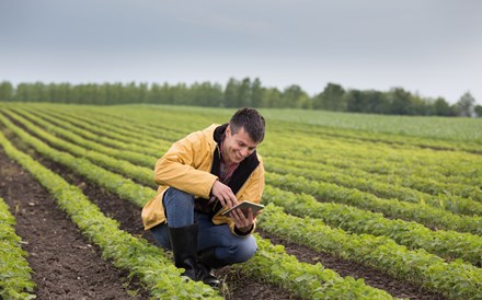 Crédito Agrícola premeia empreendedorismo e inovação