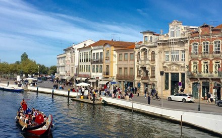 Aveiro lança concurso para rede de carregamento elétrico de moliceiros