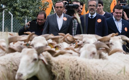 69% dos portugueses não sabem o nome de nenhum eurodeputado