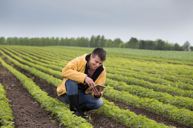 Crédito Agrícola premeia empreendedorismo e inovação