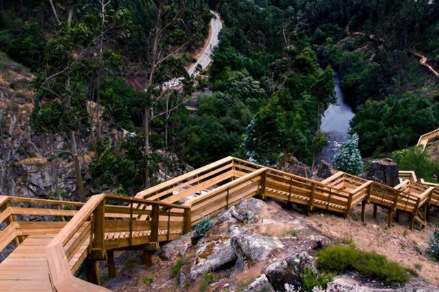 Empresa renascida das cinzas ganha Passadiços do Vale do Mondego