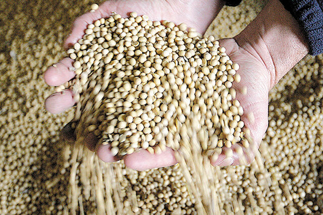 Preços globais dos alimentos registaram em maio a maior subida desde 2011