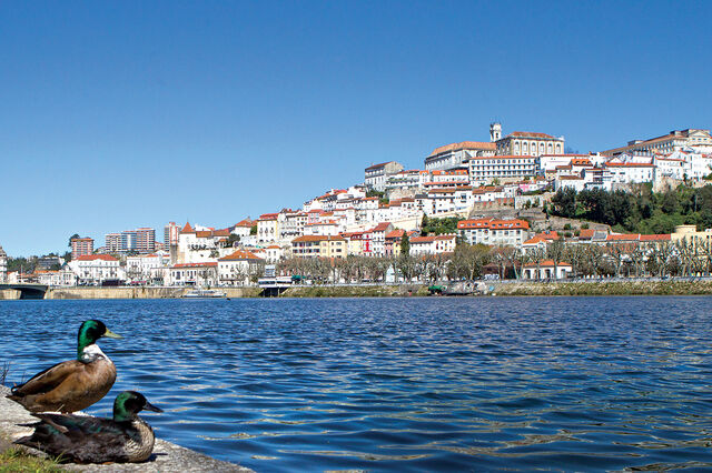 Caudal do Mondego em Coimbra acima do nível de segurança