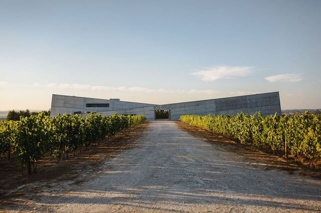 De que regiões se vendem mais vinhos em Portugal?