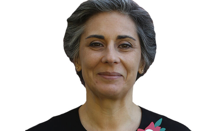 Isabel Santos - PS