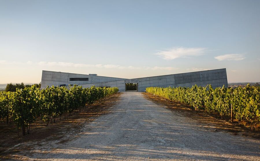 caminhos cruzados, dão, adega, vinho