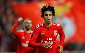 Benfica em máximos de 2010 após notícias de transferência de João Félix por 120 milhões