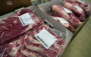 Empresas chinesas pedem investigação antidumping contra carne de porco da UE