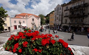 Tuk tuks: Guerra em Sintra, inércia em Lisboa e paz no Porto e Matosinhos