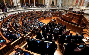 Deputados chumbam travões do PS ao período experimental 