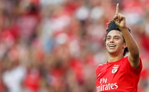 Félix atira Benfica para lucros acima de 100 milhões. Dívida afunda