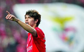 João Félix tem propostas de Man. City, United , Real Madrid e Atl. Madrid