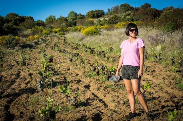 Norte-americana apaixonou-se por Portugal e criou Clube de Vinhos na Califórnia