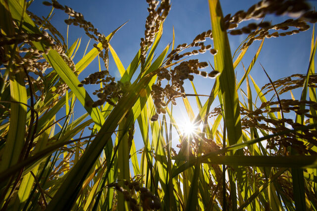 Aumento nos fatores de produção terá que refletir-se em toda a cadeia 