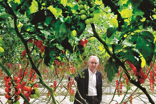 Grupo RAR perde tomate e “embalagem” no Brasil