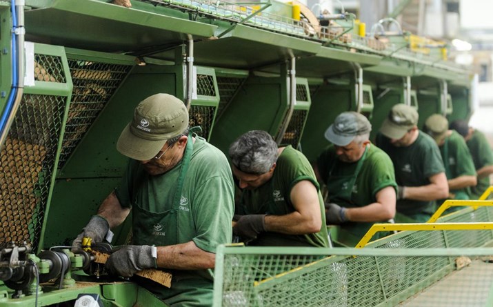 Target da Corticeira sobe para 12 euros