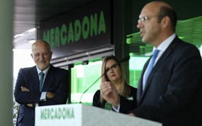 Mercadona vai compensar a Feira com 300 sobreiros e a reabilitação de duas rotundas 