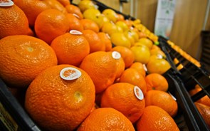 Crise das laranjas leva produtores de sumo a equacionar outras frutas