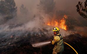 incêndios bombeiro fogo Vila de Rei 